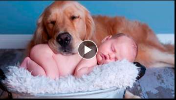 CUTE BABIES SLEEPING WITH DOGS 